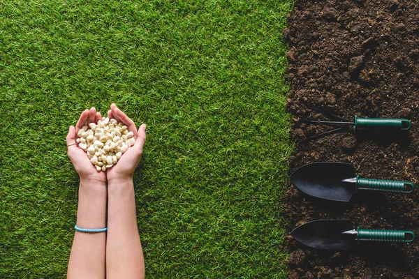 Imagen Recortada Mujer Sosteniendo Semillas Herramientas Jardinería Suelo — Foto de Stock