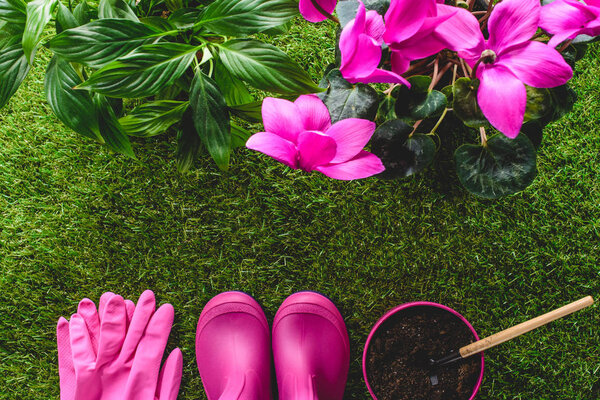 top view of protective gloves, rubber boots, flower pot with hand rake and flowers on grass