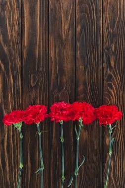top view of pile of carnations placed in row on wooden background clipart