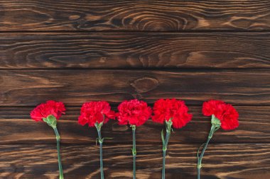 top view of carnations placed in row on wooden background clipart