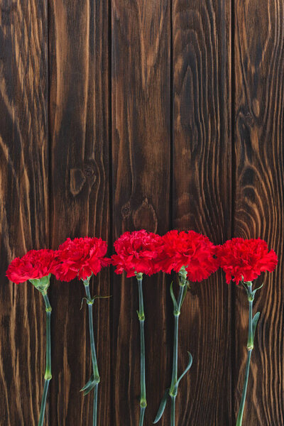 top view of pile of carnations placed in row on wooden background