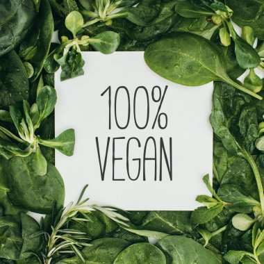 100 percent vegan inscription on white card and wet green leaves clipart