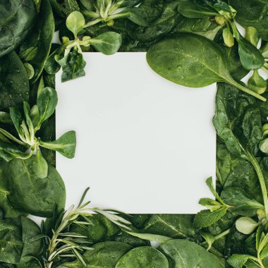 top view of blank white card and beautiful fresh green leaves and plants clipart