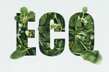 word eco made from fresh green leaves isolated on grey clipart