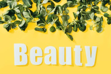 beautiful green leaves and inscription beauty on yellow clipart