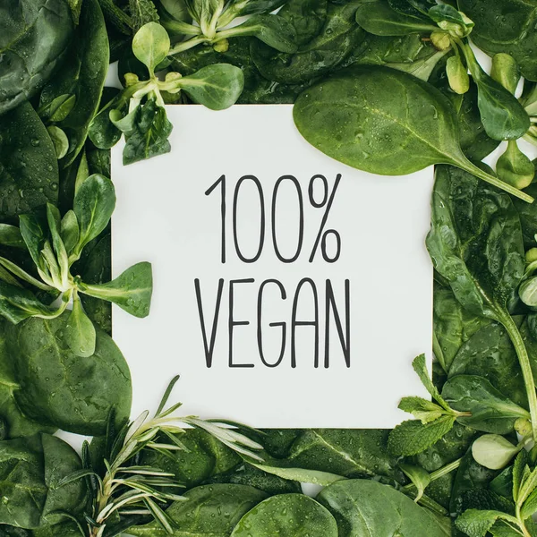 100 Veganská Nápis Bílé Karty Vlhké Zelené Listy — Stock fotografie