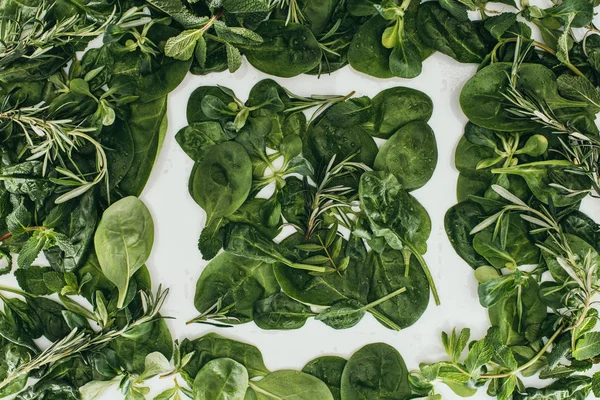 Top View Beautiful Fresh Green Leaves Plants White — Stock Photo, Image