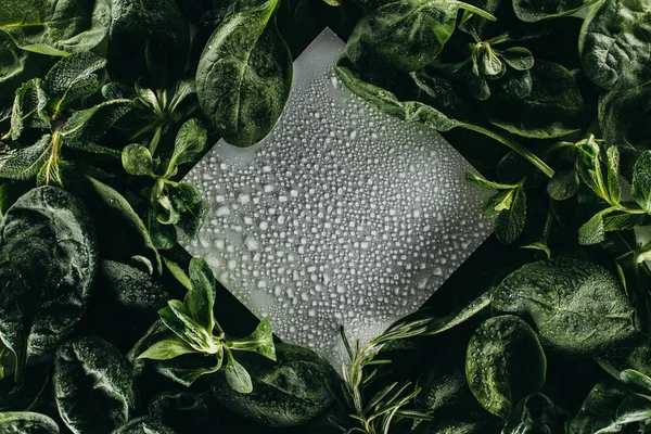 Bovenaanzicht Van Lege Witte Kaart Met Waterdruppels Verse Groene Bladeren — Stockfoto