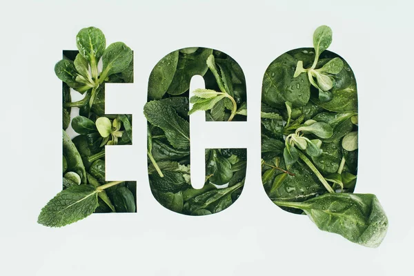 Woord Eco Gemaakt Van Verse Groene Bladeren Geïsoleerde Grijs — Stockfoto