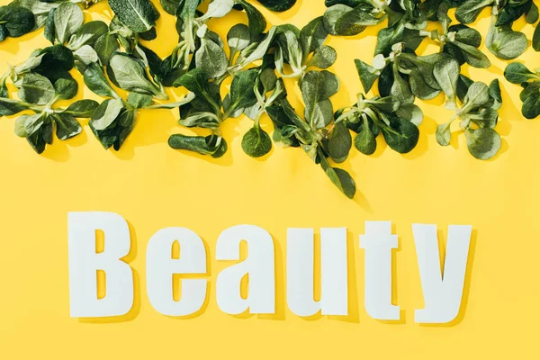 Beautiful Green Leaves Inscription Beauty Yellow — Free Stock Photo