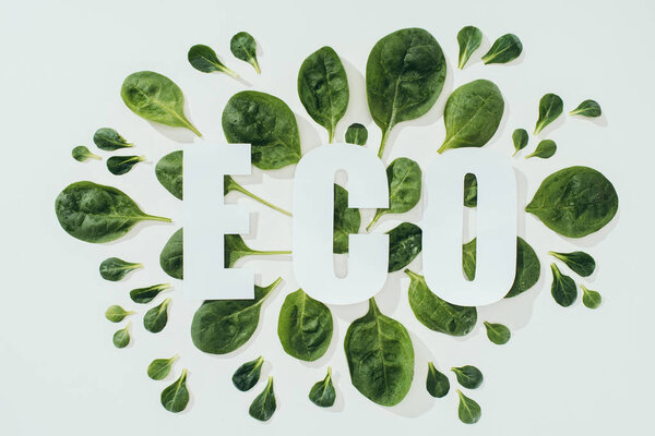 top view of beautiful fresh green leaves and white inscription eco on grey
