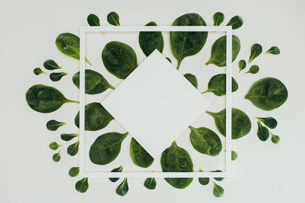 top view of beautiful fresh green leaves, white square and rhombus with copy space on grey