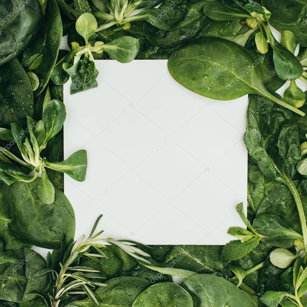 top view of blank white card and beautiful fresh green leaves and plants