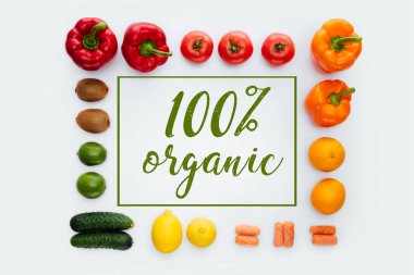 Üstten Görünüm çerçevesi sebze ve meyve ve metin %100 organik beyaz izole