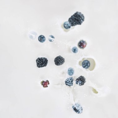 Blackberries and blueberries dropping into milk on white background clipart