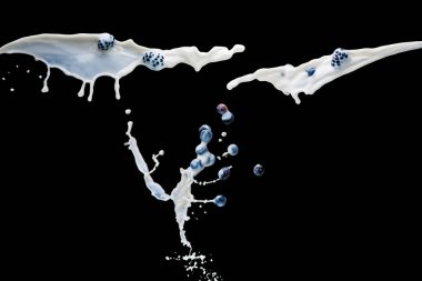 Flying splashes of milk and juicy berries on black background clipart