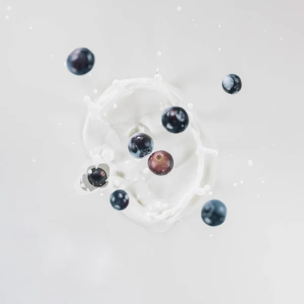 Raw Blueberries Splashing Milk White Background — Free Stock Photo