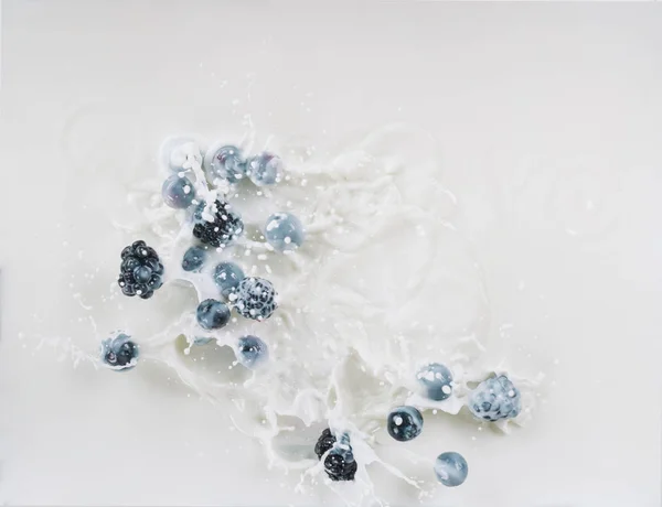 Juicy Berries Dropping Milk Splashes White Background — Free Stock Photo