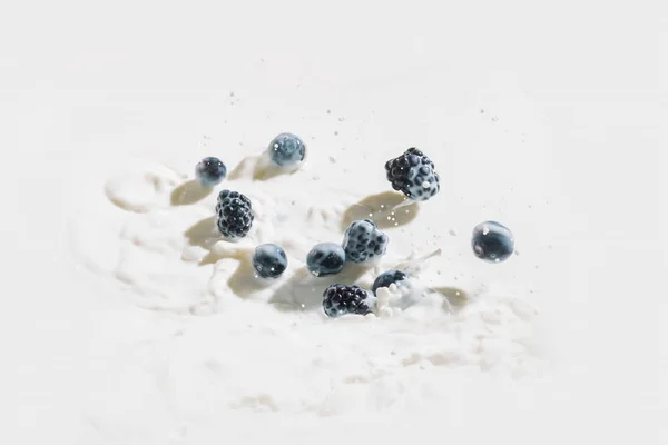 Organic Berries Falling Milk Splashes White Background — Free Stock Photo