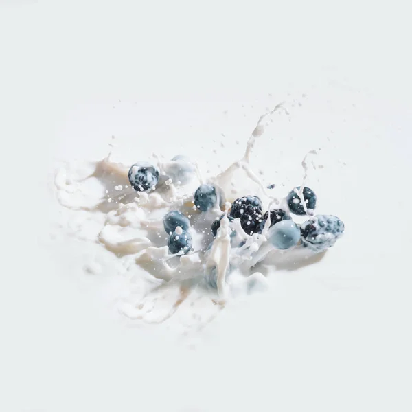 Berry Fruits Falling Milk Drops White Background — Stock Photo, Image