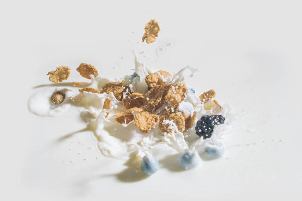 Cereals and berries falling in milk with drops on white background