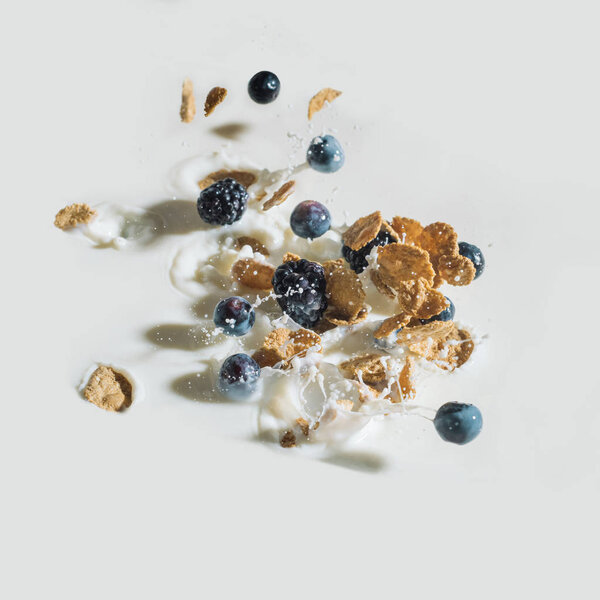 Cereals and berries splashing into milk on white background