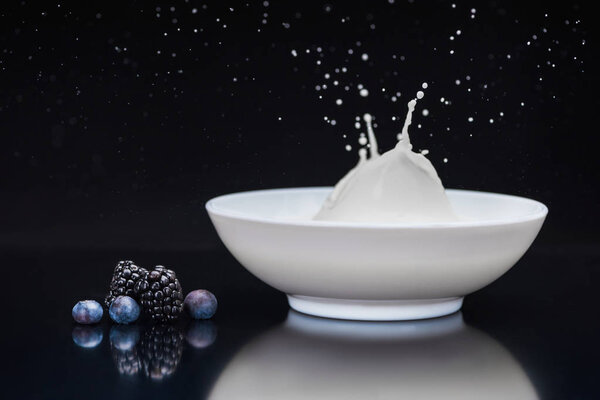 Blackberries and blueberries white bowl with splashing milk on black background
