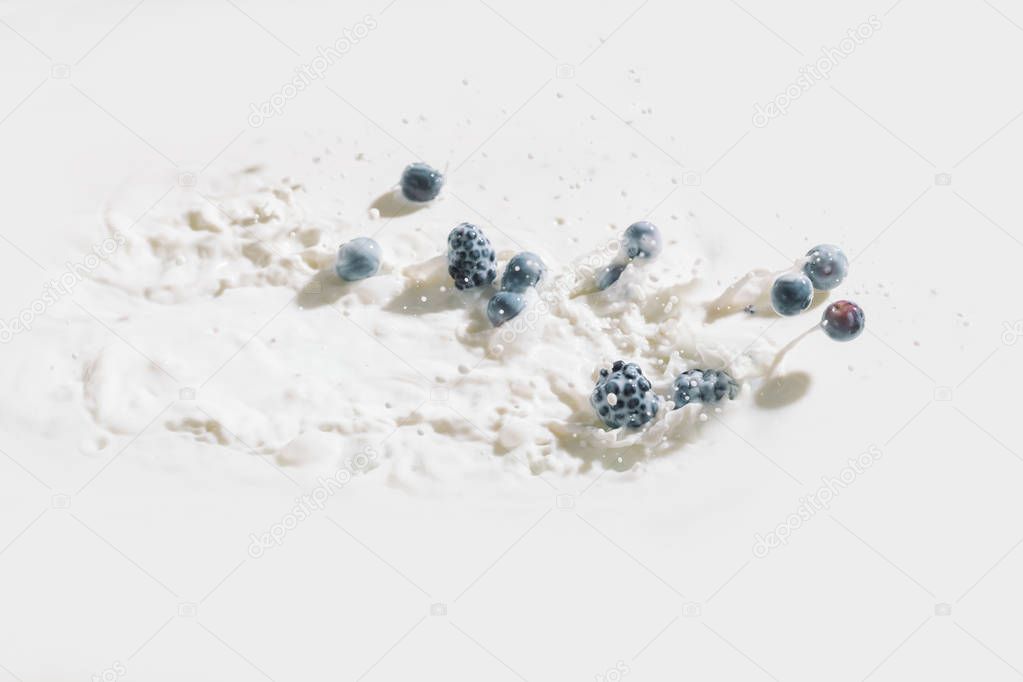 Juicy berries falling in milk with splashes on white background
