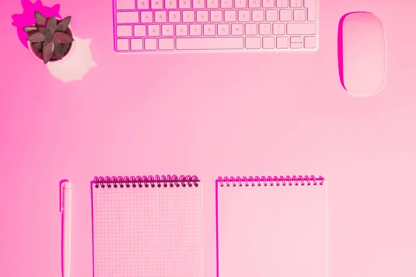 空の教科書 コンピューターのキーボードとマウス テーブルの上のピンクのトーン画像 — ストック写真