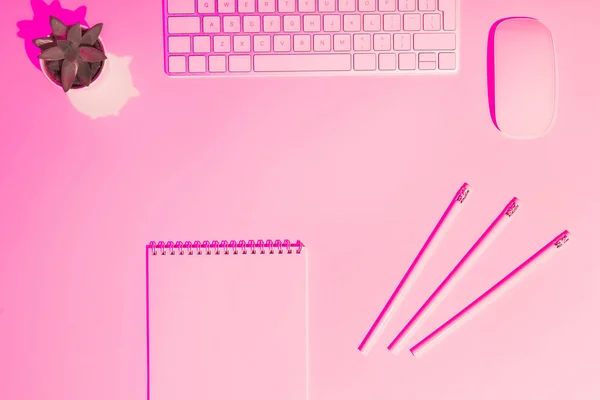 Gambar Pink Toned Keyboard Komputer Dan Mouse Tanaman Buku Teks — Foto Stok Gratis