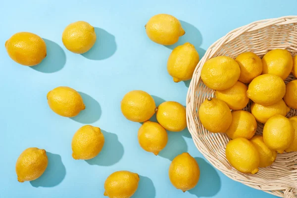 Vrchní Pohled Zralé Žluté Citrony Rozptýlené Proutěného Koše Modrém Pozadí — Stock fotografie