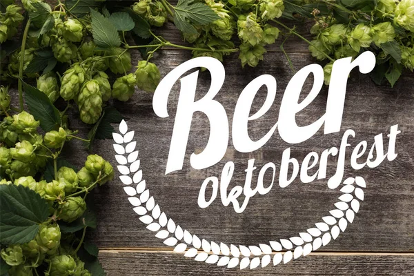 Top View Green Blooming Hop Wooden Table Beer Oktoberfest Illustration — Stockfoto
