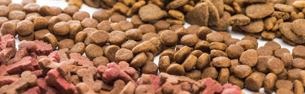 селективный фокус свежего ассортимента сухого корма для домашних животных в линиях, изолированных на белом, панорамный снимок
