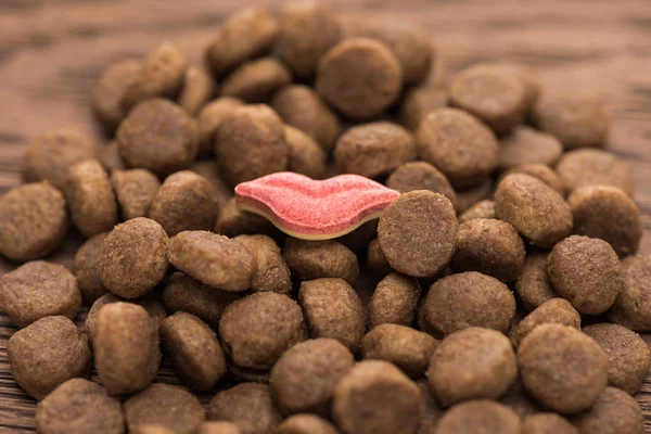 Vitamin Lips Shape Dry Pet Food Wooden Table — Stock Photo, Image