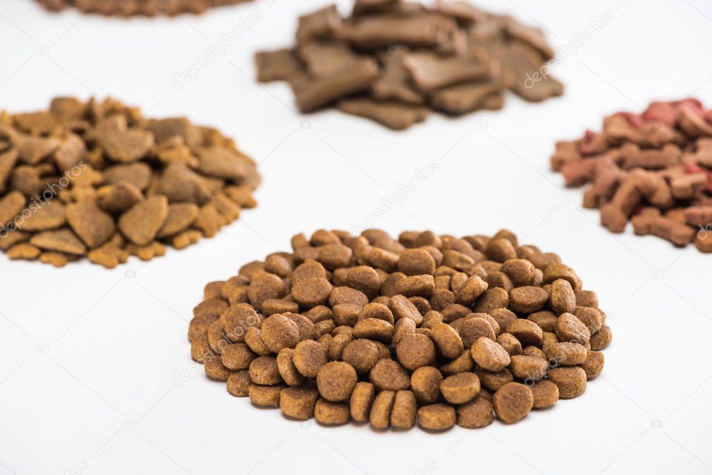 selective focus of fresh assorted dry pet food in piles isolated on white