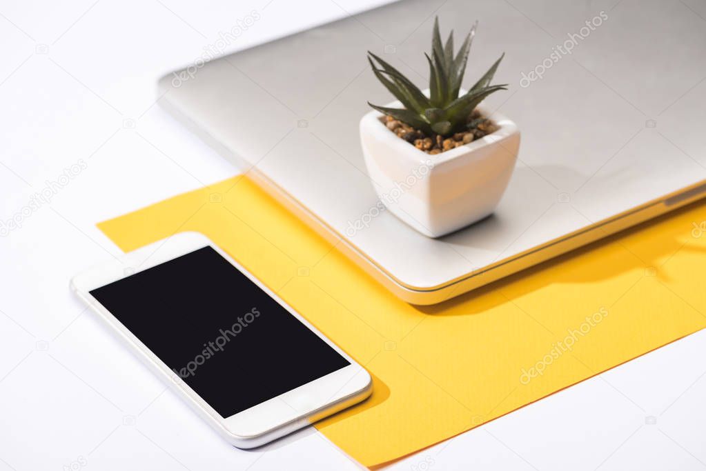 high angle view of smartphone, laptop, plant and paper