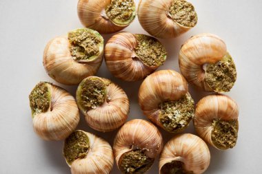 top view of delicious cooked escargots on white background clipart