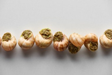 Beyaz arka planda lezzetli pişmiş salyangozların üst görüntüsü