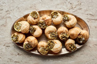 top view of delicious cooked escargots on plate on stone background clipart