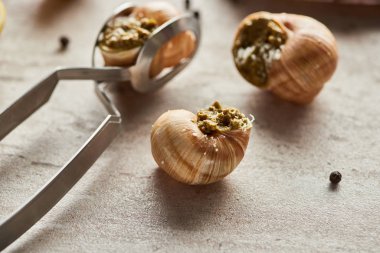 close up view of delicious cooked escargots with black peppercorn and tweezers on stone background clipart