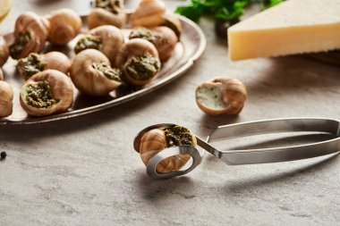 Parmesan yakınında lezzetli pişmiş salyangozların ve taş zeminde cımbızların seçici odağı.