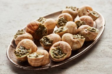 delicious escargots on plate on stone background clipart