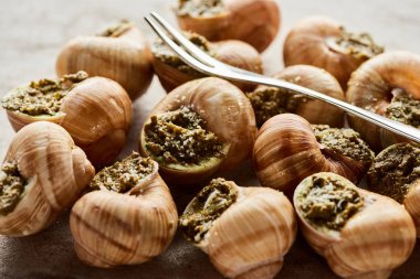 delicious gourmet escargots with tweezers on stone background clipart