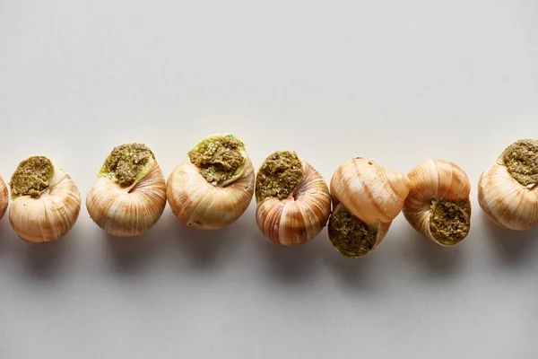Top View Delicious Cooked Escargots Row White Background — Stock Photo, Image