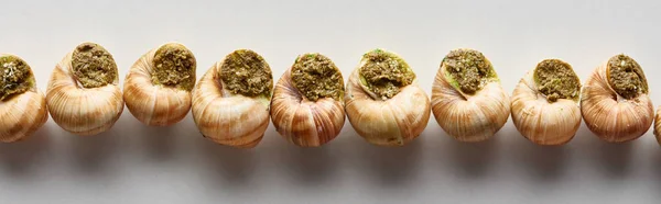 Top View Delicious Cooked Escargots Row White Background Panoramic Shot — Stock Photo, Image