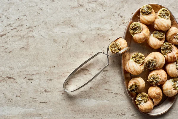 Vue Dessus Délicieux Escargots Cuits Sur Assiette Avec Une Pince — Photo