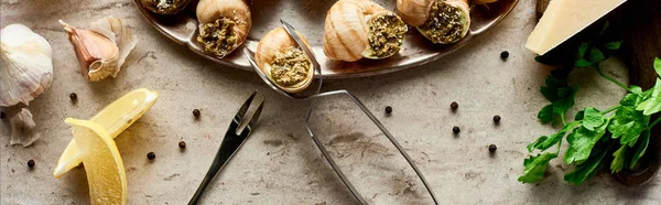 Top View Delicious Cooked Escargots Lemon Slices Parsley Black Peppercorn — Stock Photo, Image