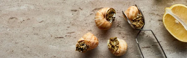 Top View Dari Escargot Masak Lezat Dengan Lemon Dan Pinset — Stok Foto