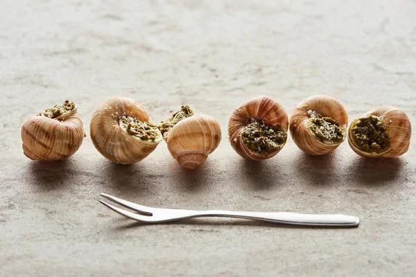 Deliciosas Escargots Gourmet Fila Cerca Tenedor Sobre Fondo Piedra — Foto de Stock