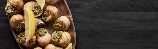 Top View Delicious Cooked Escargots Lemon Black Wooden Table Panoramic — Stock Photo, Image